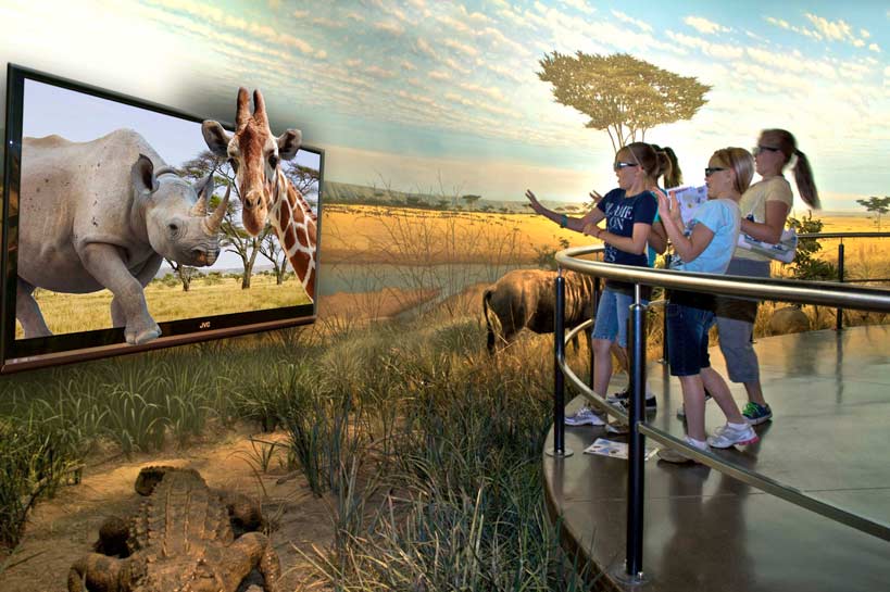 Building Addition Wildlife Experience Globeology African Savanna Exhibit